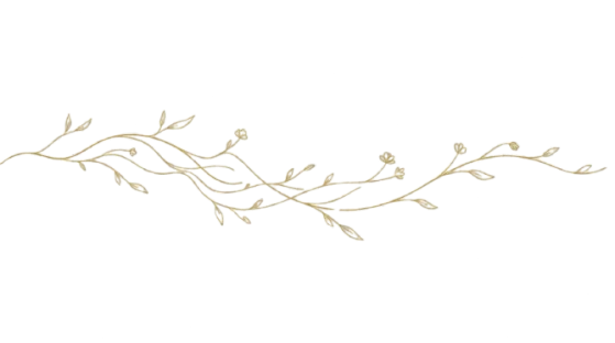branches background left